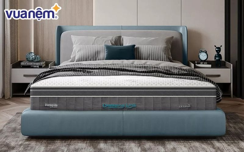 Sản phẩm của Goodnight hay Dunlopillo đều có những ưu điểm riêng