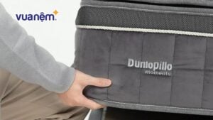 So sánh nệm Goodnight và Dunlopillo: Chọn nệm nào phù hợp?