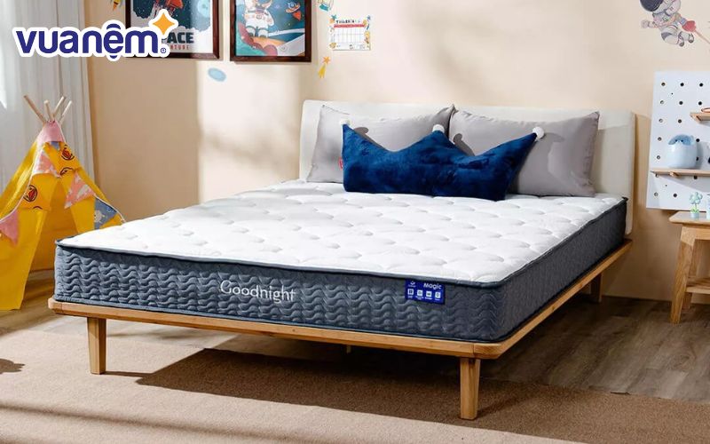 So sánh nệm Goodnight và nệm Tempur - Goodnight phù hợp với nhiều đối tượng khách hàng