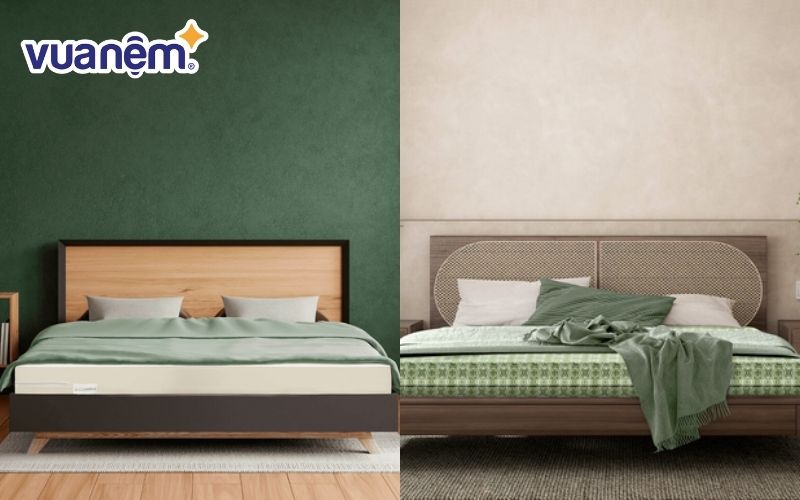 Nên chọn mua nệm Kim Cương hay nệm Gummi?