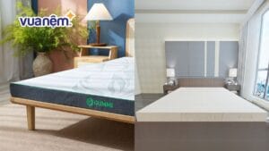 So sánh nệm Gummi và nệm Kim Cương: Khác biệt nằm ở đâu?