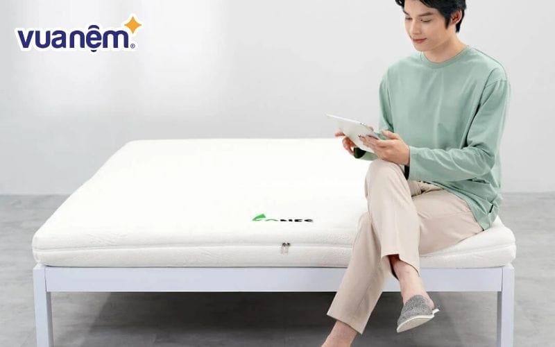 Nệm Gummi thiên về độ đàn hồi vừa phải, không quá cứng hay quá mềm