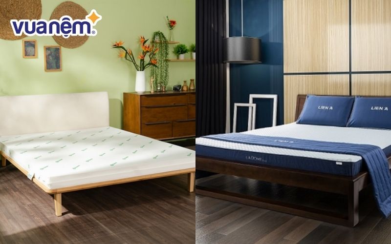 Nên lựa chọn mua nệm Gummi hay nệm Liên Á?