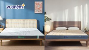 So sánh nệm Gummi và nệm Liên Á chi tiết
