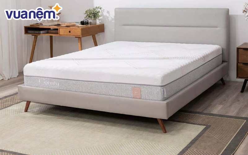 Nên chọn nệm icomfy hay nệm Tempur