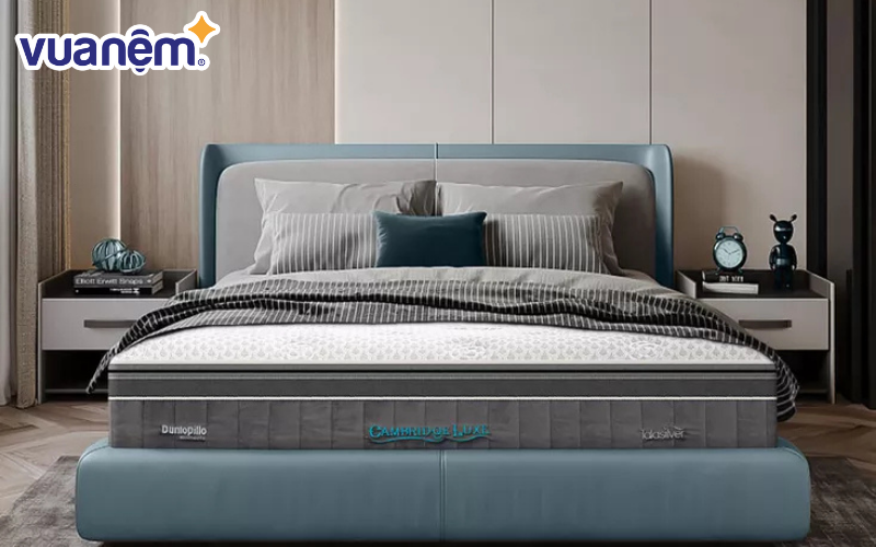 So sánh nệm KingKoil và nệm Dunlopillo qua các tiêu chí cụ thể