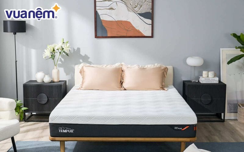 Tempur là đơn vị tiên phong đưa công nghệ foam Tempur – vật liệu giảm áp lực được phát triển bởi NASA – vào sản xuất nệm
