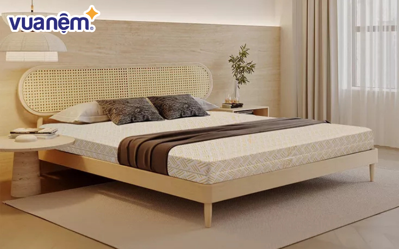 Nệm cao su tại Vua Nệm