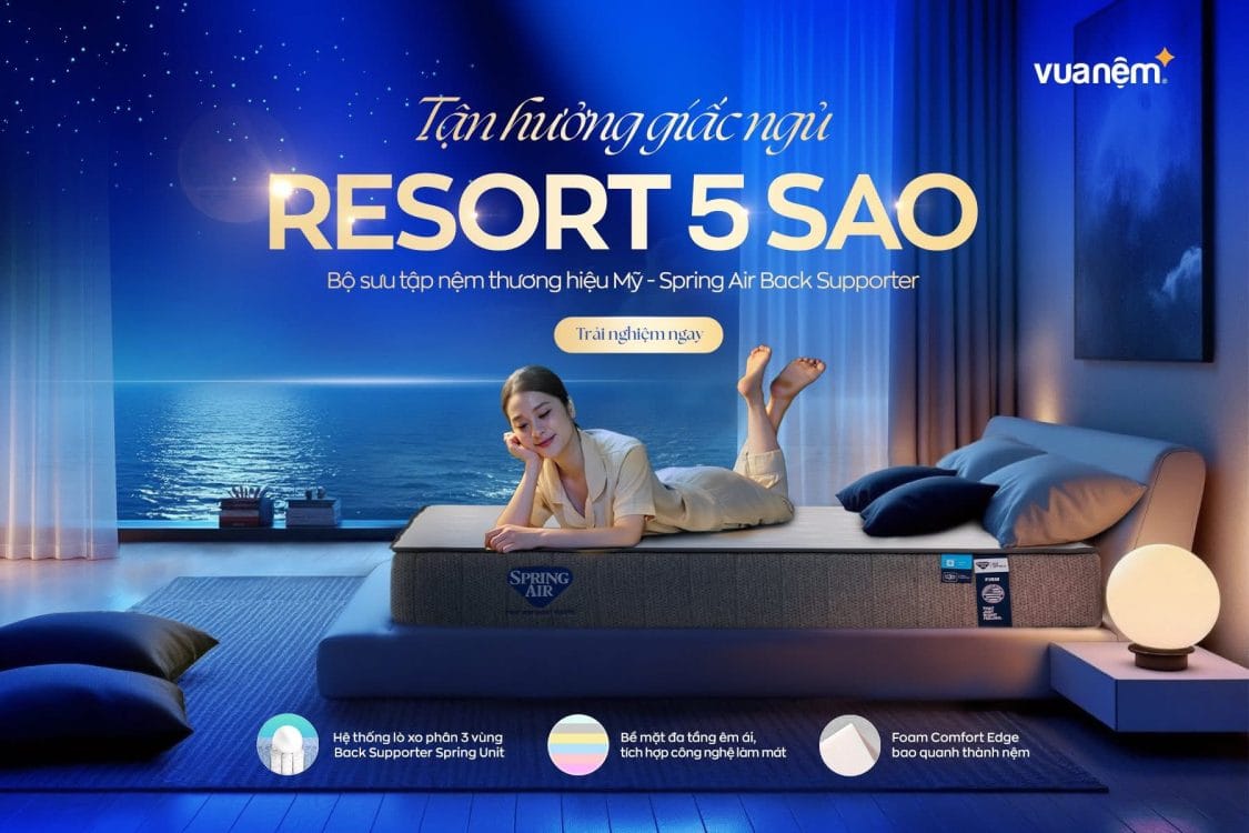 518252740 1168116628692081 8439159030178240395 n