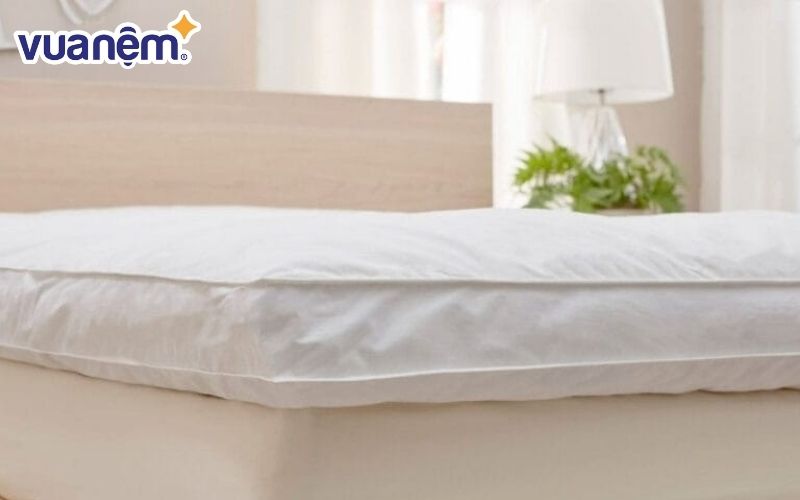 Bảo quản nệm đúng cách trong mùa mưa giúp hạn chế tình trạng nấm mốc, mùi hôi khó chịu