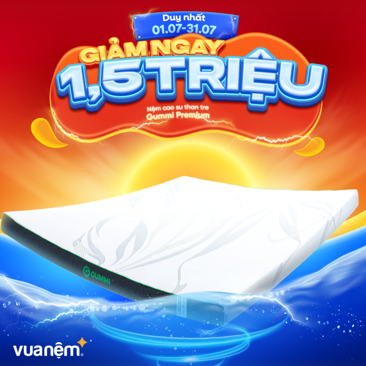 Nệm cao su Gummi Premium