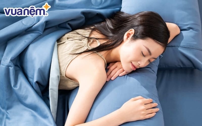 Chăn chần Cotton satin AMD The Essentials Đơn Sắc