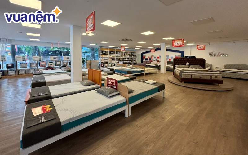 Rất nhiều mẫu nệm được bày bán tại cửa hàng Vua Nệm