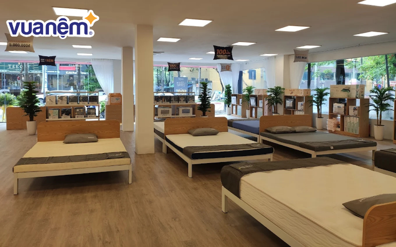 Rất nhiều mẫu nệm được bày bán tại cửa hàng Vua Nệm