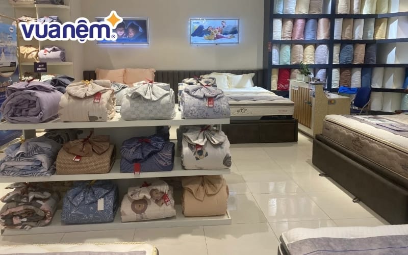 Thương hiệu nệm cao cấp đến từ châu Âu