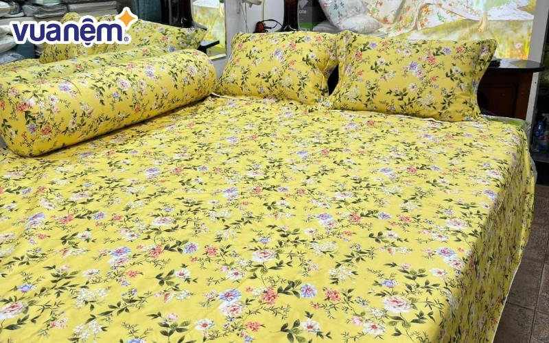 Hiếu Hạnh - Cửa hàng nệm được nhiều người đánh giá cao