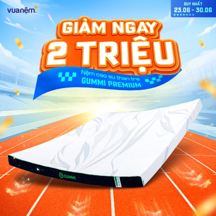 Nệm cao su than tre Gummi Premium