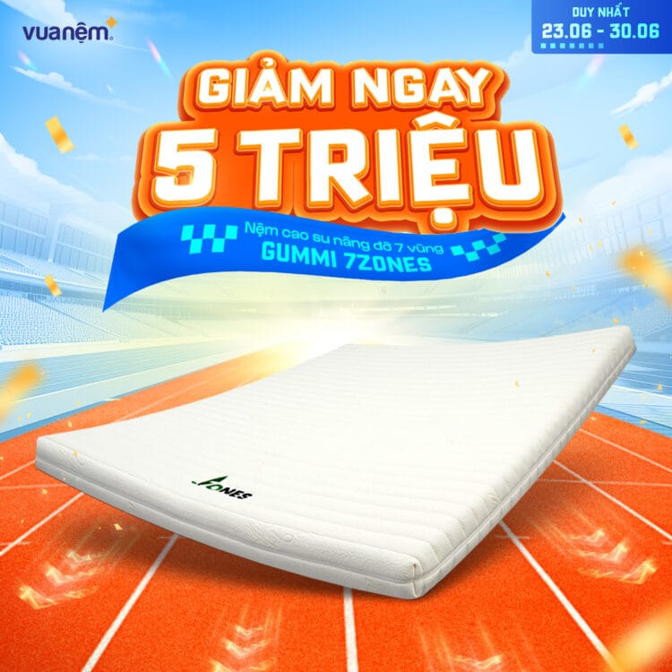 Nệm cao su nâng đỡ 7 vùng Gummi 7zones