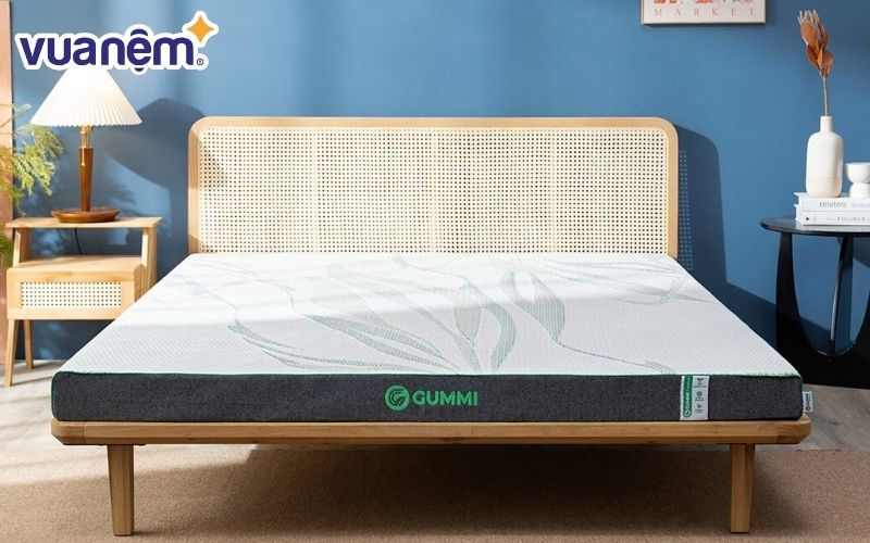 Gummi Premium loại nệm có khả năng kháng khuẩn hiệu quả, an toàn