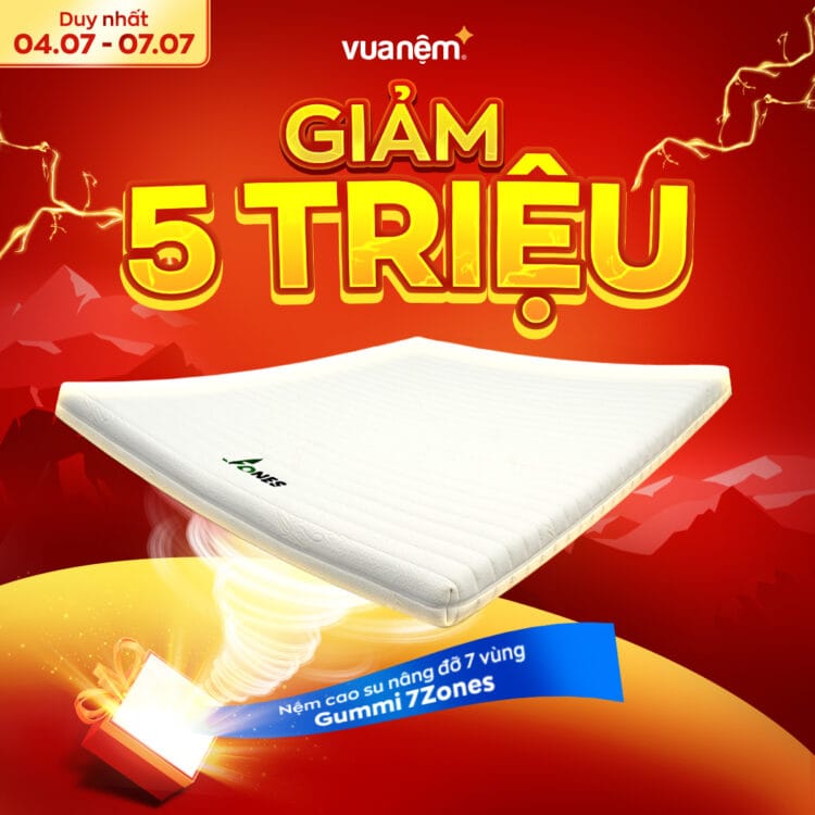 Nệm Gummi 7 Zones giảm giá 5 triệu