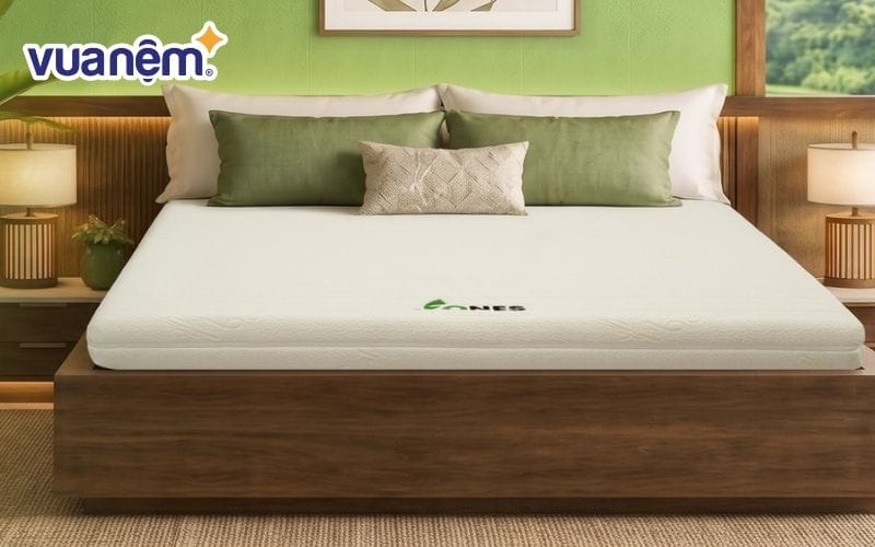Chọn mua nệm cao su 100% thiên nhiên tại Vua Nệm