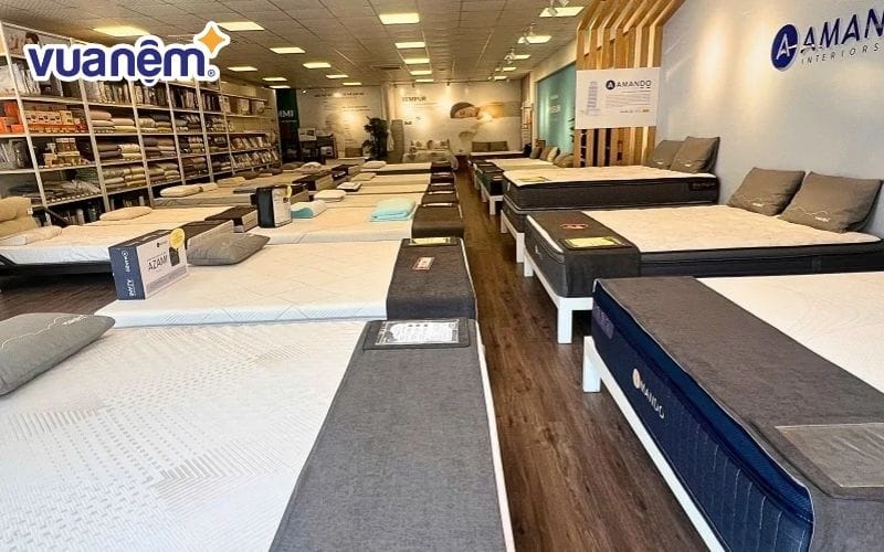 Chọn nệm cao su thiên nhiên chất lượng tại Vua Nệm