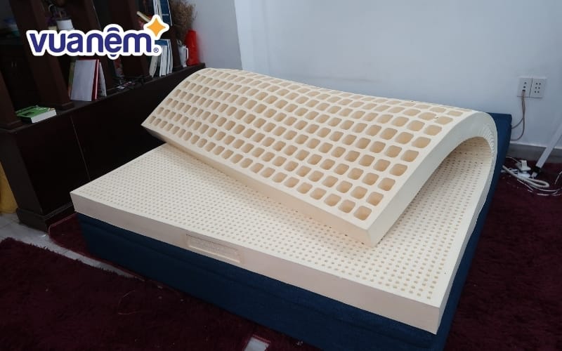 Đại lý Nệm Bình Dương cung cấp các dòng nệm cao su Kim Cương chính hãng