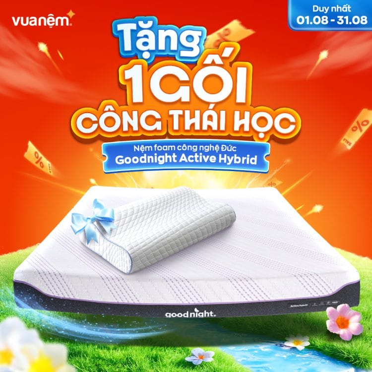 Mua nệm foam công nghệ Đức Goodnight Active Hybrid nhận gối công thái học