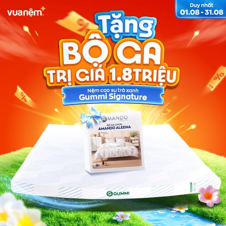 Nệm cao su Gummi Signature