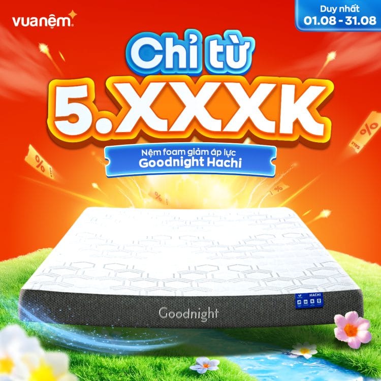 Nệm foam Goodnight Hachi giảm áp lực