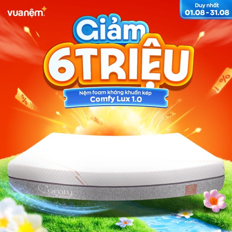 Nệm foam kháng khuẩn kép Comfy Lux 1.0