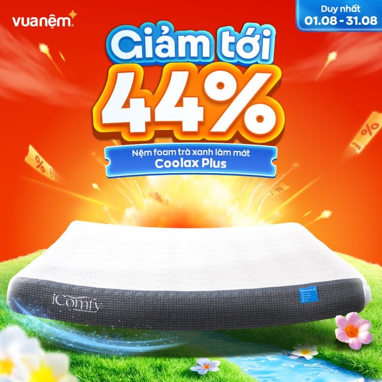 Nệm foam trà xanh làm mát Coolax Plus sale 44%