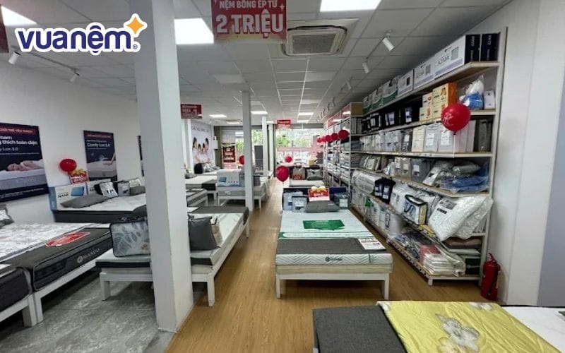 Không gian trưng bày nệm cao su thiên nhiên chính hãng tại Vua Nệm