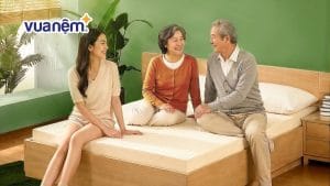 Kinh nghiệm mua nệm cao su chất lượng, phù hợp với sức khỏe