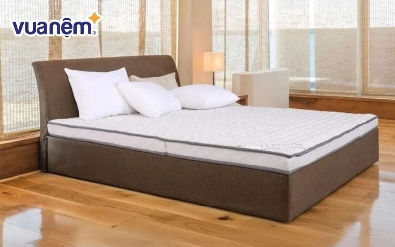 Mua nệm cao su Hanvico chất lượng tại Hà Nội