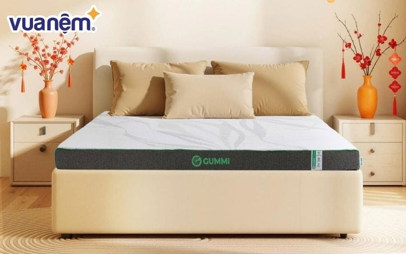 Mua nệm cao su than hoạt tính uy tín tại Vua Nệm