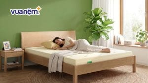 Nằm nệm cao su có bị nóng lưng không? Mẹo nằm nệm mát cả đêm