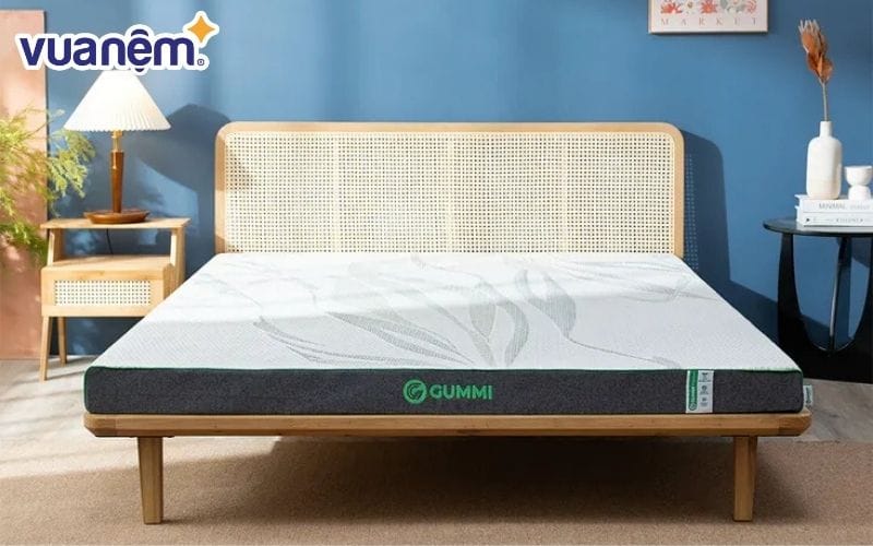 Nệm cao su Gummi Premium