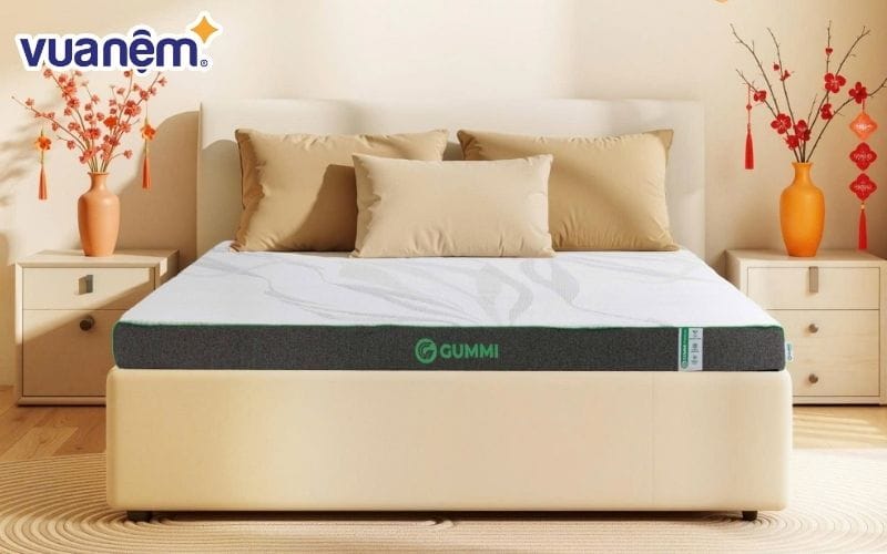 Nệm cao su tốt cho bé sơ sinh Gummi Premium
