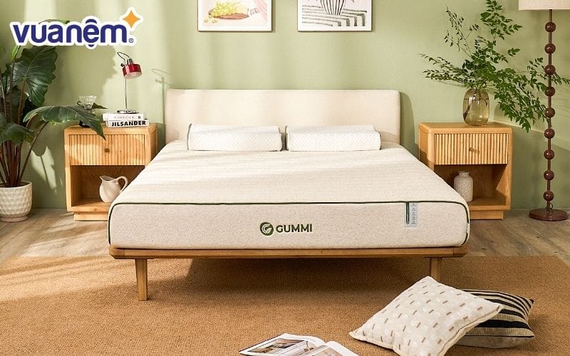 Nệm Gummi Hybrid Plus