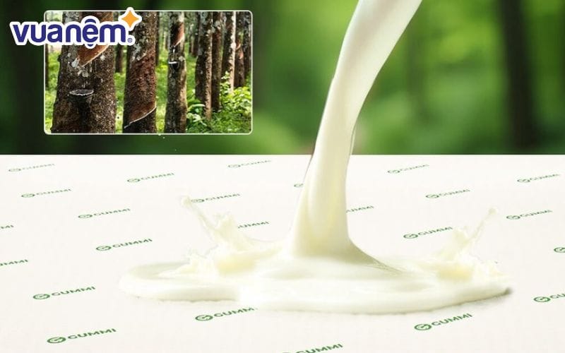 Nệm cao su có cấu tạo thế nào?