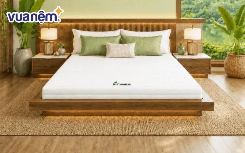 Nệm cao su Gummi 7zones nhập khẩu