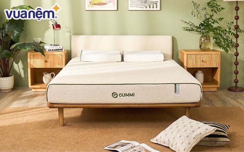 Gummi Hybrid Plus