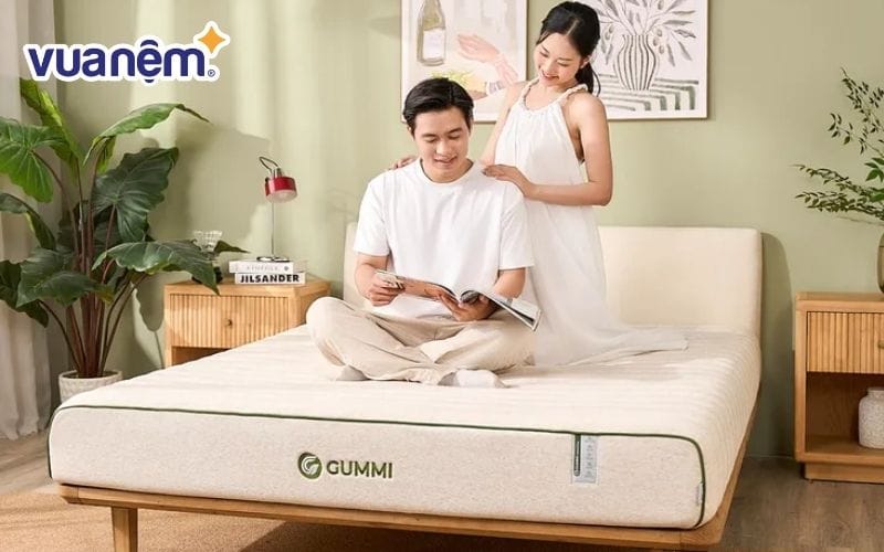 Nệm cao su Gummi Hybrid Plus