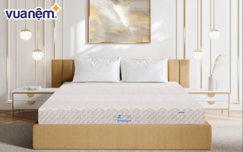 Nệm cao su 5ZONE Premium