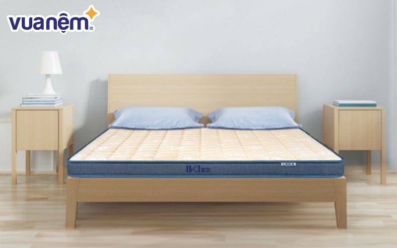 Nệm Liên Á 10cm đáp ứng được nhu cầu của người dùng về chất lượng và giá thành