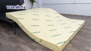 Nệm cao su non là gì? Ưu, nhược điểm và đối tượng phù hợp