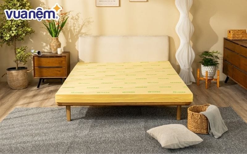 Nệm cao su thiên nhiên và cao su non nên chọn loại nào?