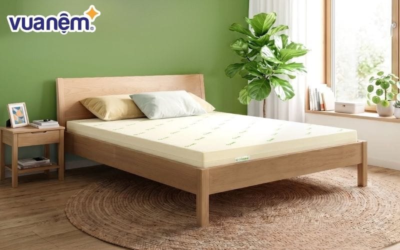Nệm cao su thiên nhiên và ưu nhược điểm