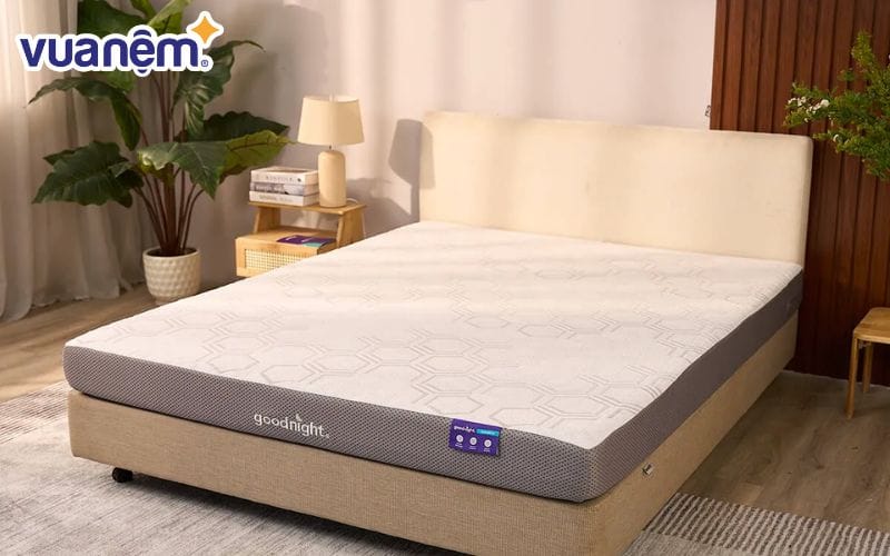 Nệm foam Goodnight Massage 2.0